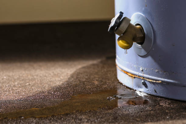 Best 24/7 water damage repair  in Dodge City, KS
