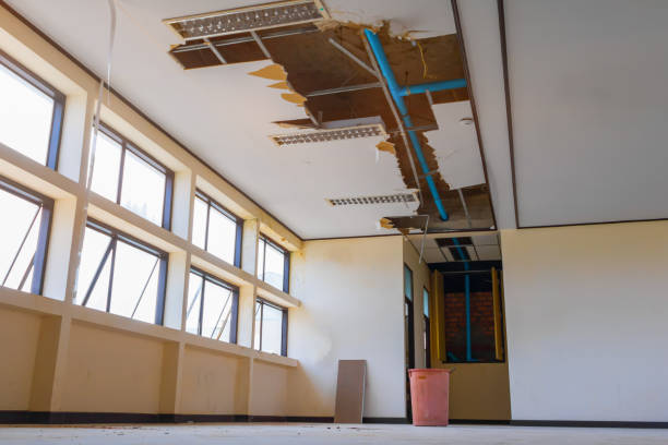 Best Local water damage restoration  in Dodge City, KS