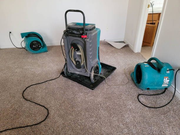 Water damage restoration experts in KS