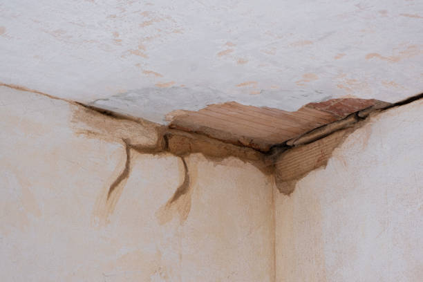 Best Fire Damage Restoration  in Dodge City, KS