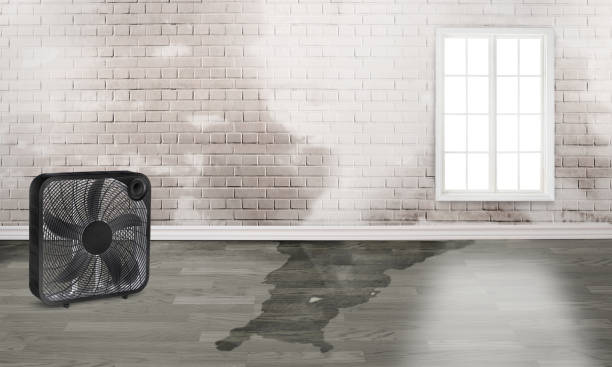 Best Water damage restoration near me  in Dodge City, KS