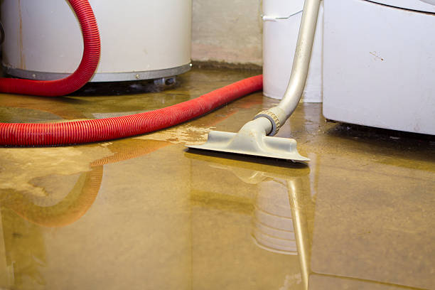 Best Ceiling water damage repair  in Dodge City, KS