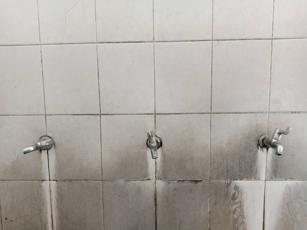 Best Water damage cleanup near me  in Dodge City, KS