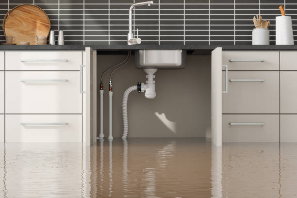 Best Professional water damage repair  in Dodge City, KS