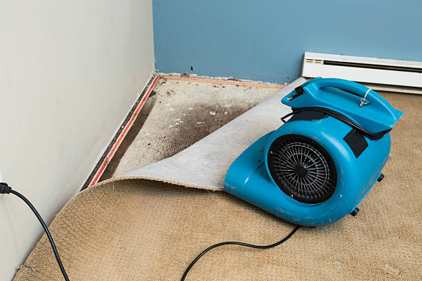 Best Emergency water damage restoration  in Dodge City, KS